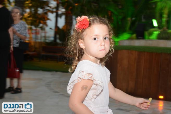 תמונה גדולה